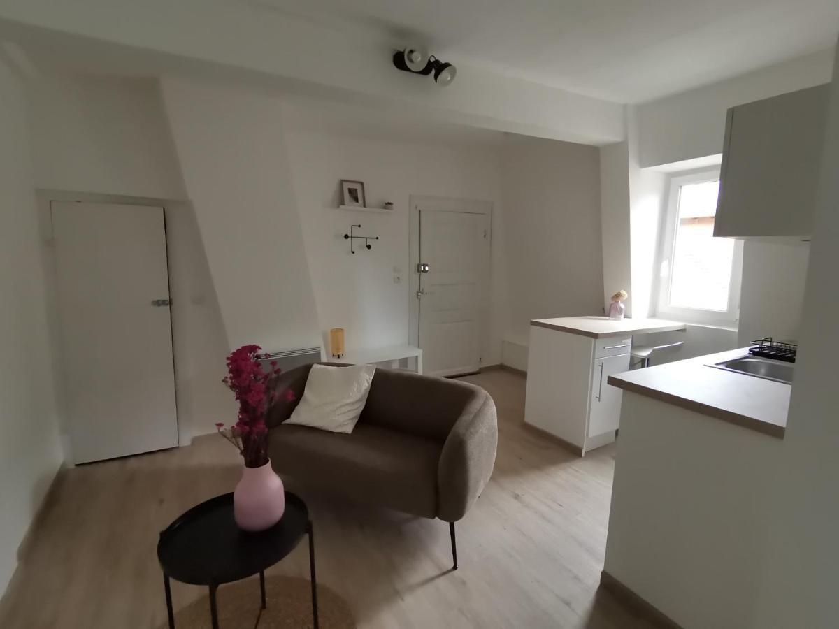 Toi Mon Toit Leilighet Colmar Eksteriør bilde